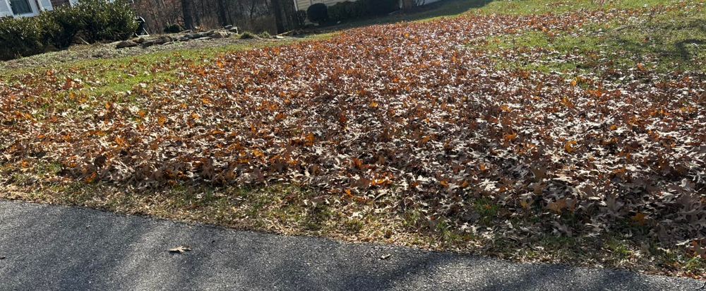 All Photos for Walsh Lawn And Landscape in Olney, MD