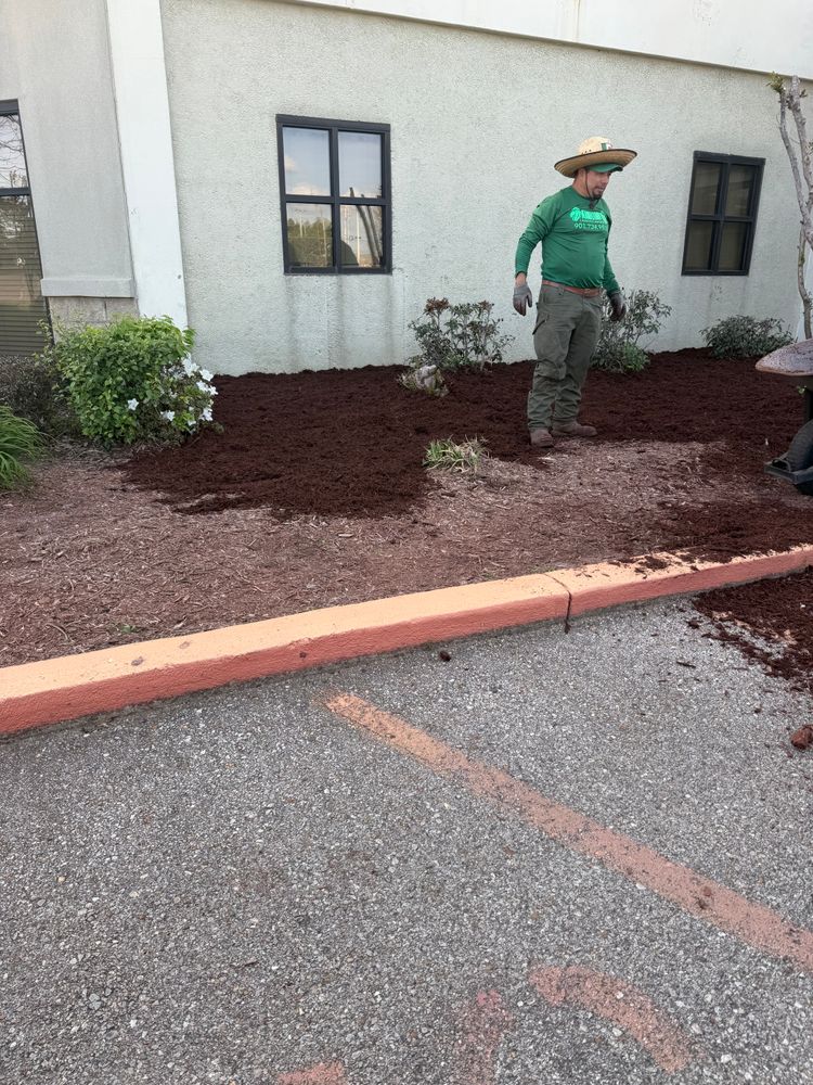 All Photos for Kingdom Landscaping in Memphis, TN