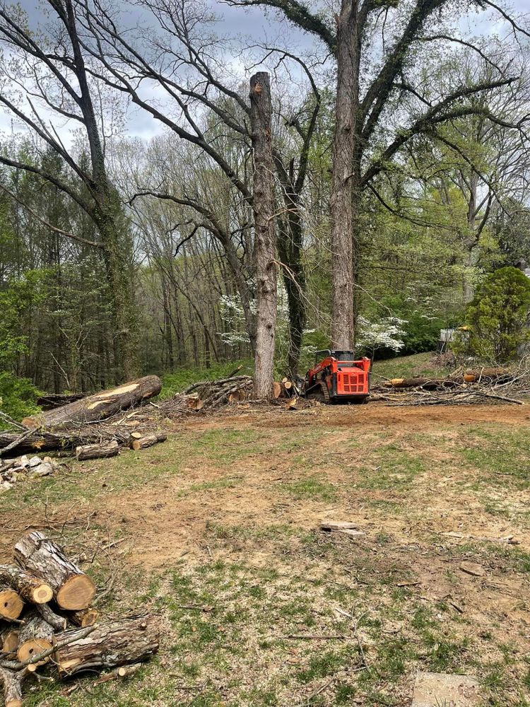 All Photos for Lucky’s Tree Removal and Landscape Services in Knoxville, TN