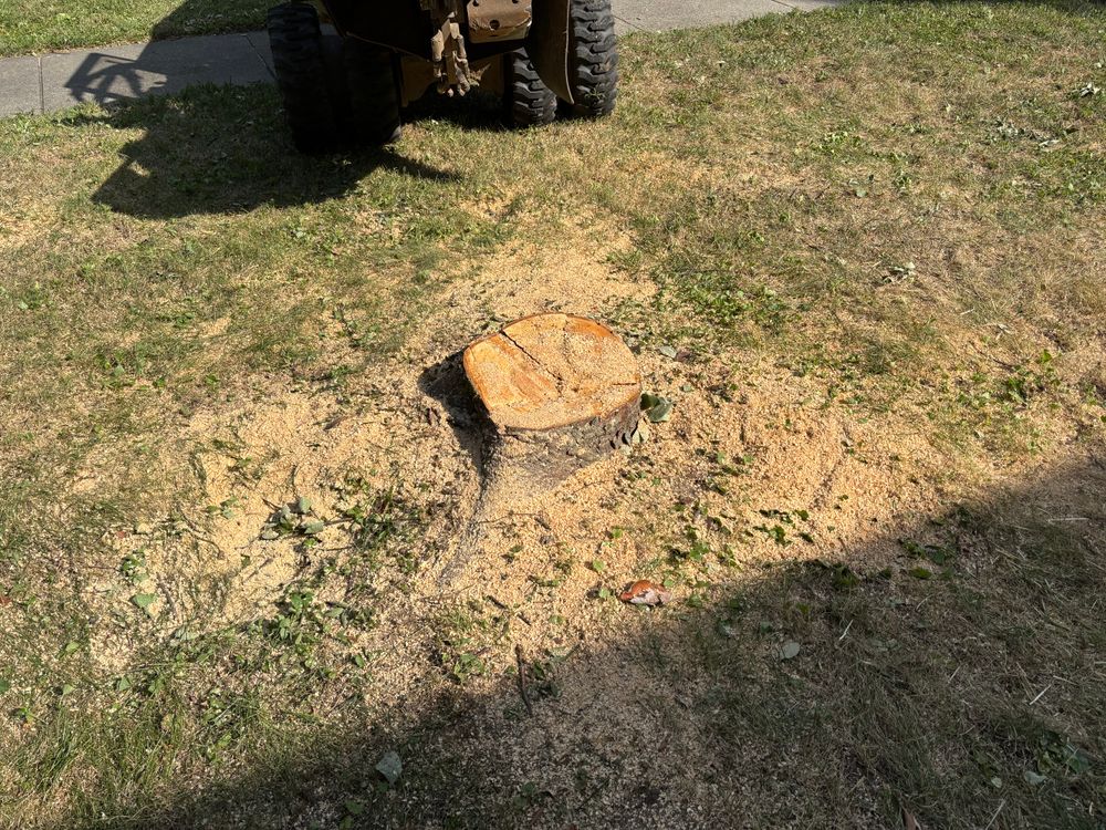All Photos for Conrad's Stump Removal in Columbus, IN