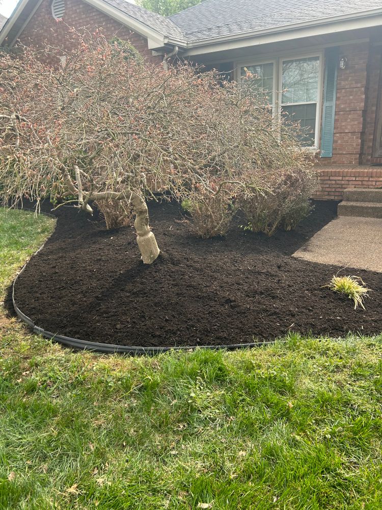 All Photos for Optimum Tree Service And Landscaping in Bowling Green, KY