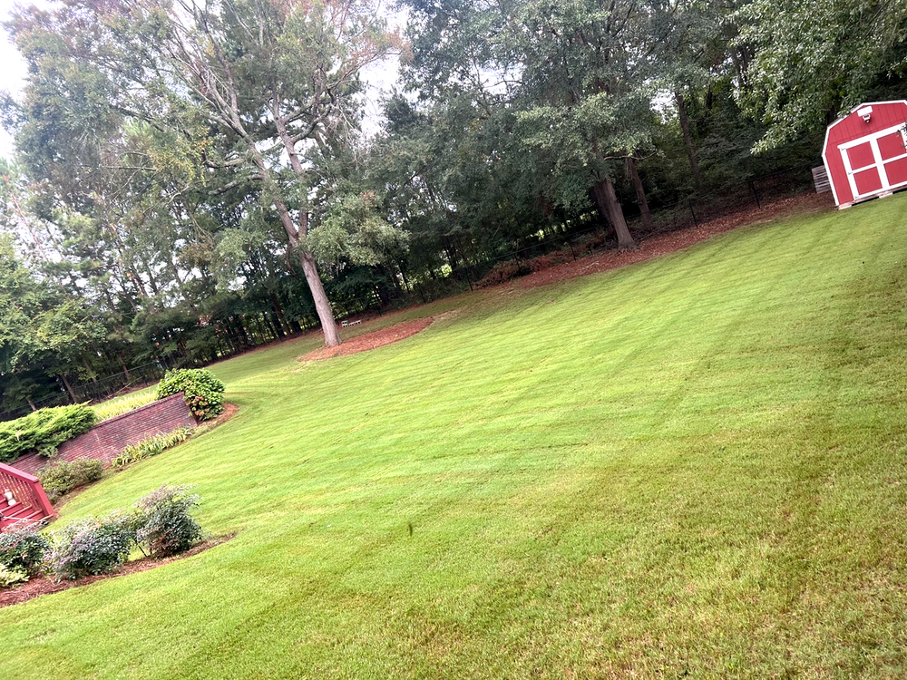 Lawn Maintenance for Adams Landscape Management Group LLC. in Loganville, GA