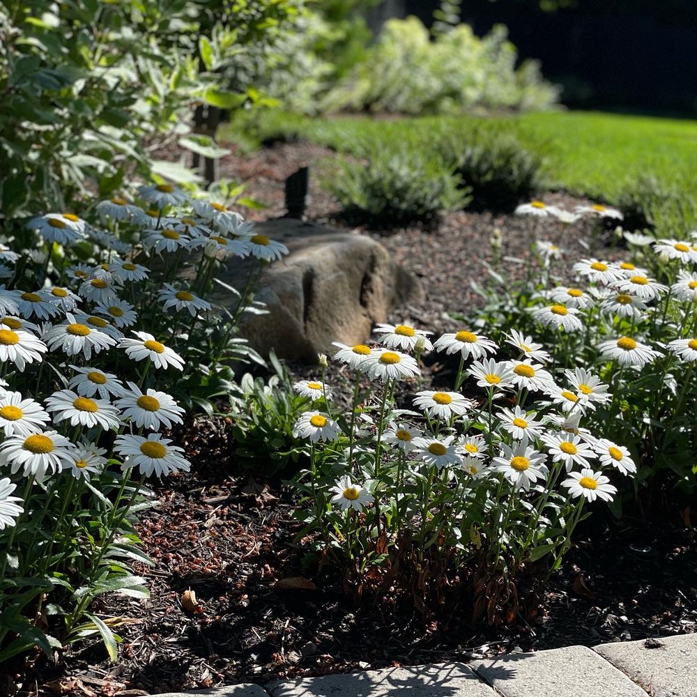 All Photos for Courtney Lewis Landscape Design in Portland, OR