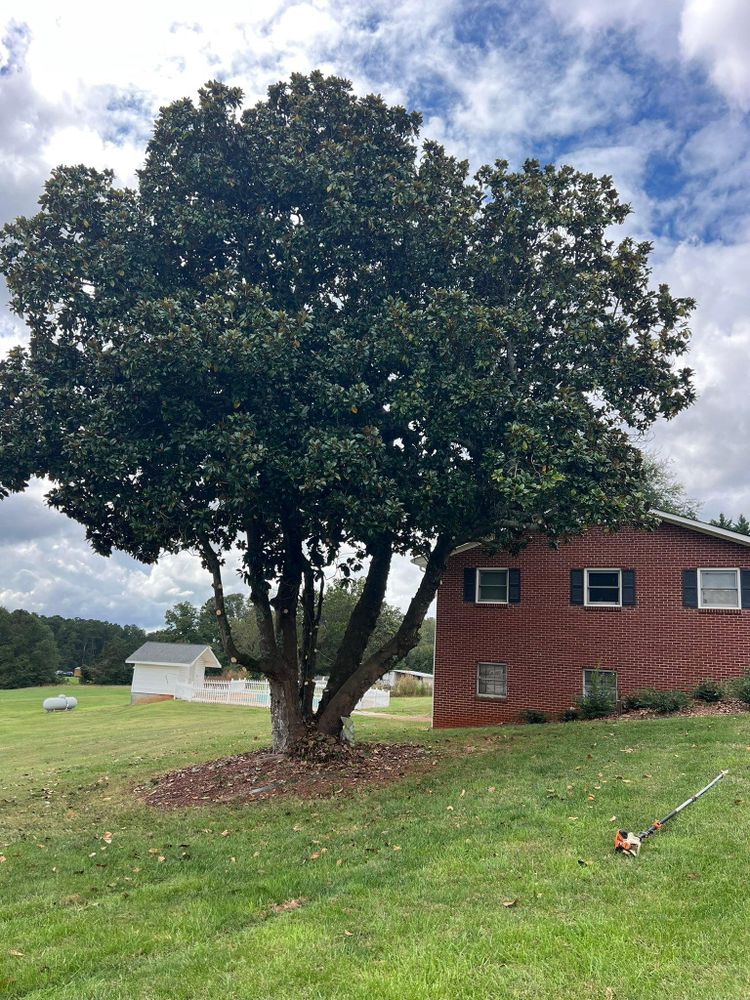 All Photos for Brooks Tree Service, LLC in Casar, NC