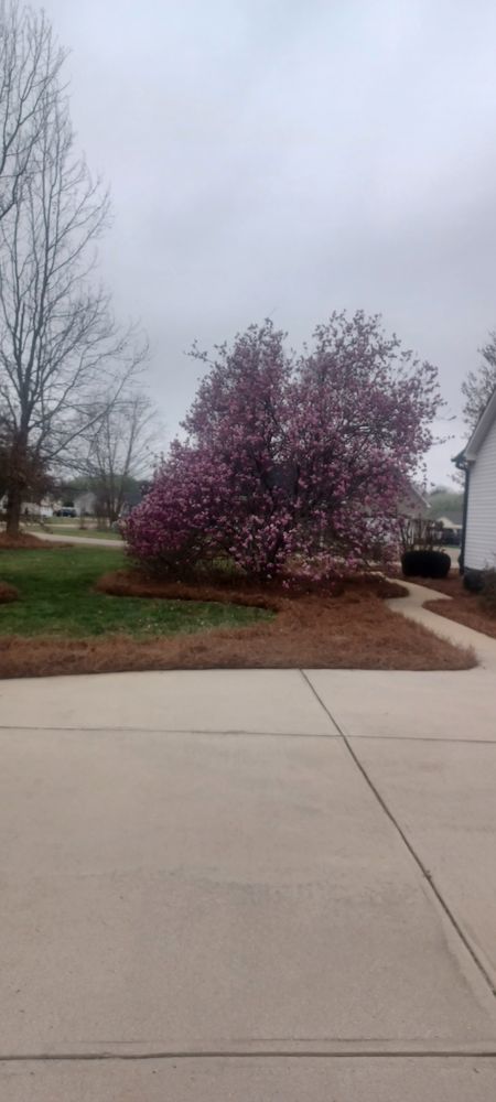 All Photos for Rocky's Pressure Washing & Lawn Care in Mooresville, NC