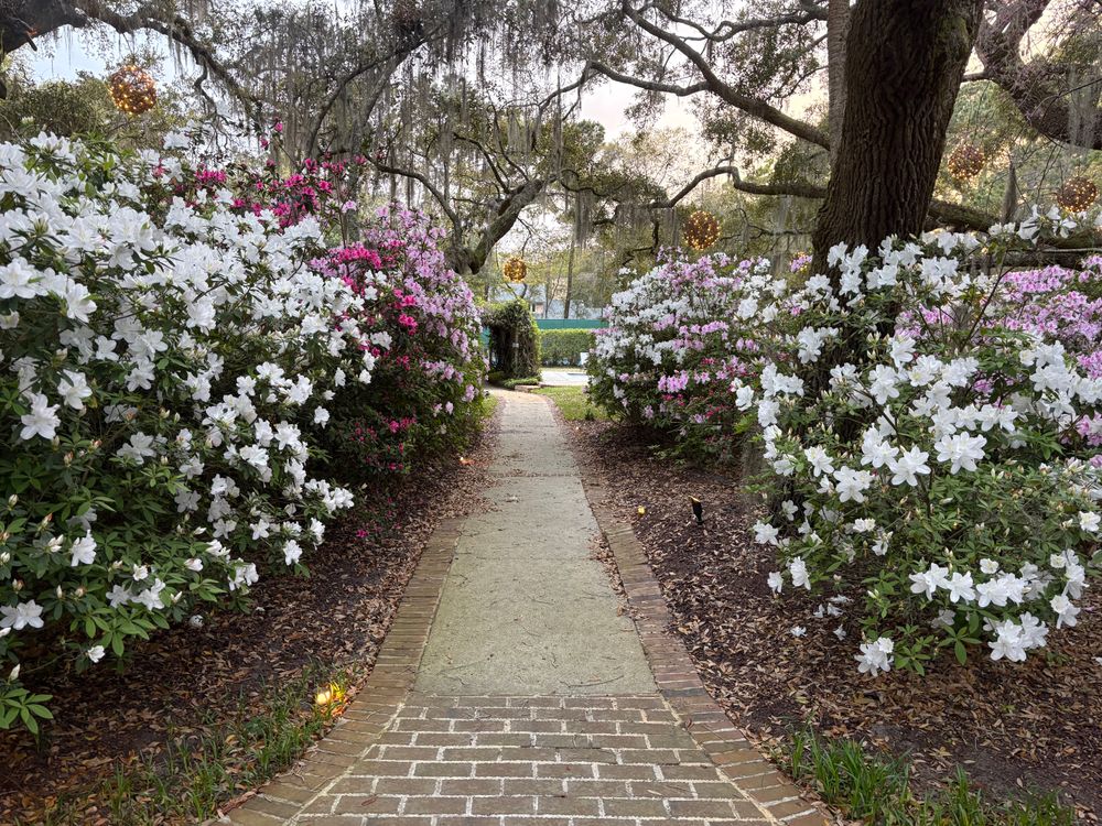 All Photos for Wheelhouse Irrigation and lighting in Charleston, South Carolina