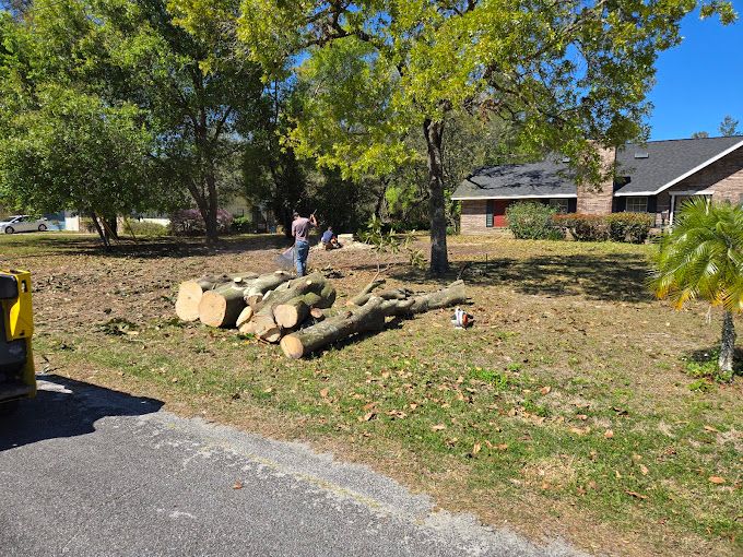 All Photos for Near Me Tree Service, Inc. in DeLand, FL