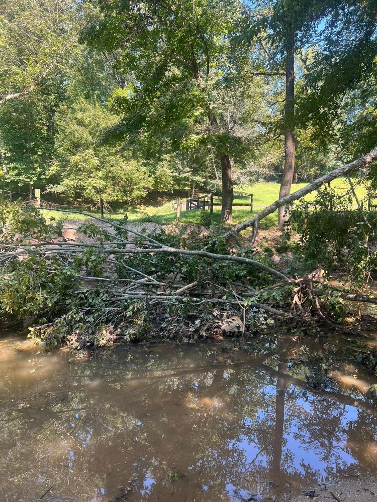 All Photos for Brooks Tree Service in Casar, NC