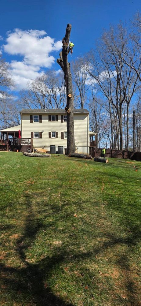 All Photos for Hamlett Tree Service LLC in Clover, VA