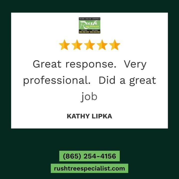 All Photos for Rush Tree Specialist in Knoxville, TN