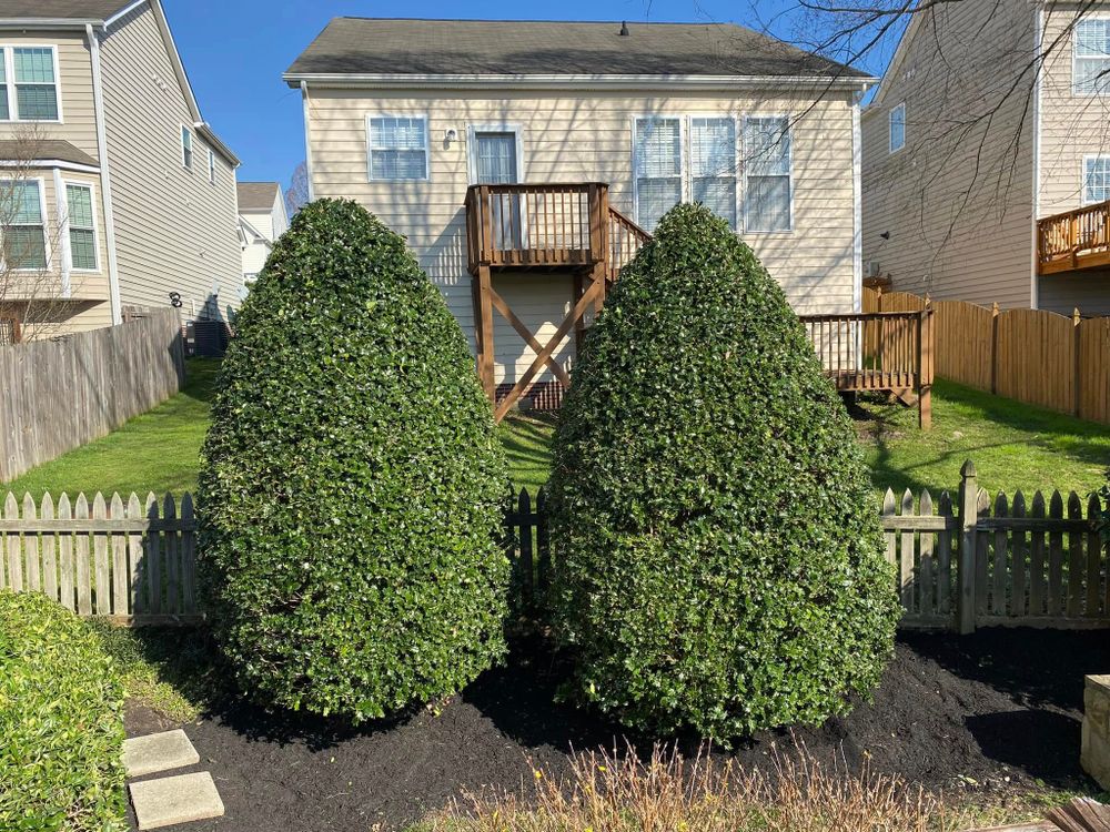 All Photos for Superior Lawn Solution in Coats, NC