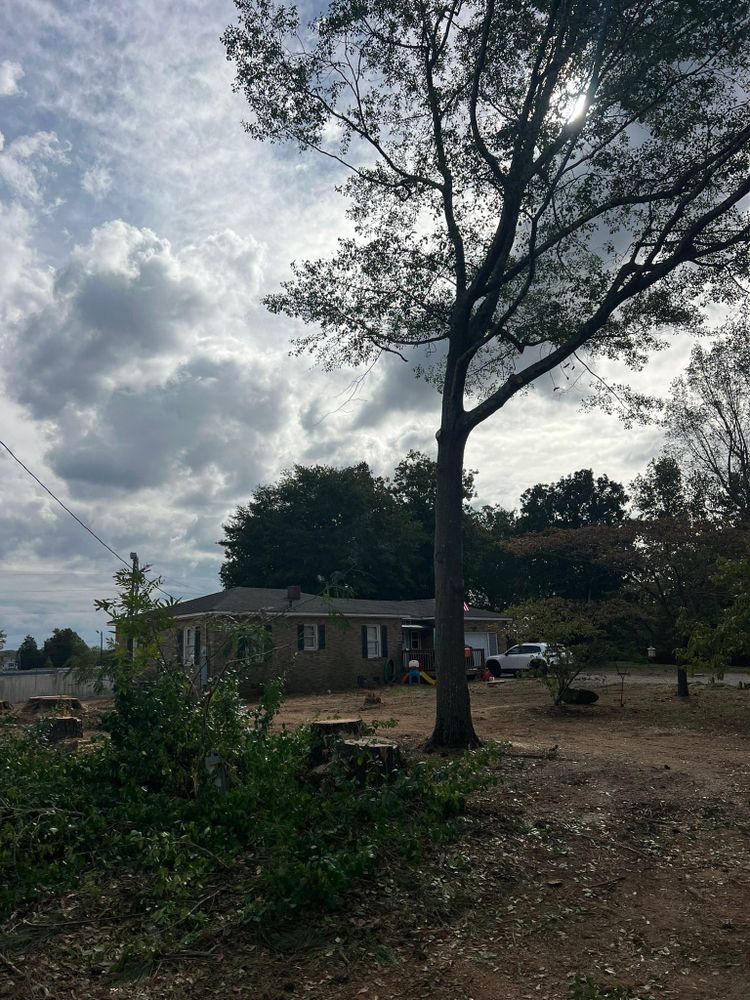 All Photos for Brooks Tree Service in Casar, NC