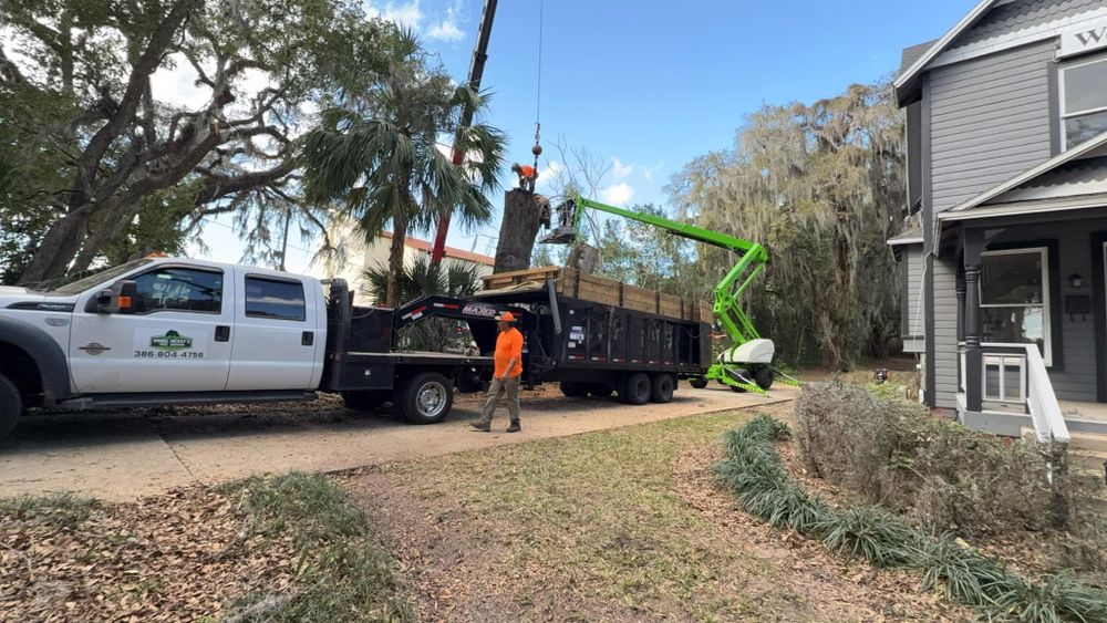 All Photos for Daniel Hickey’s Tree Service in DeLand, FL