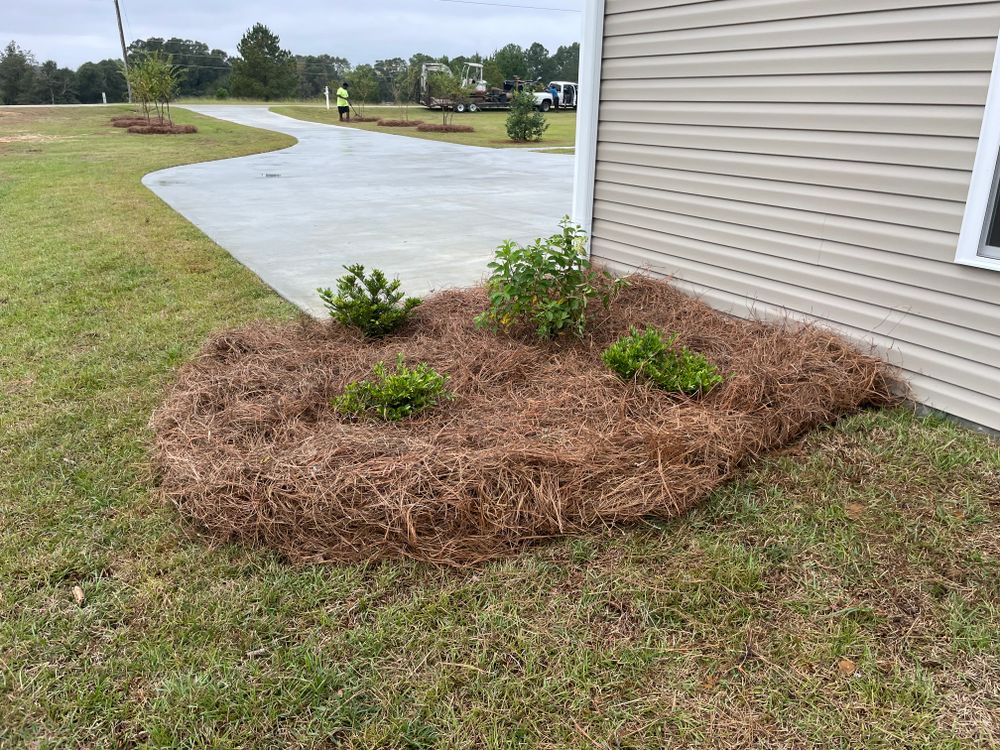 New construction  for Jt's Landscaping in Webb, AL