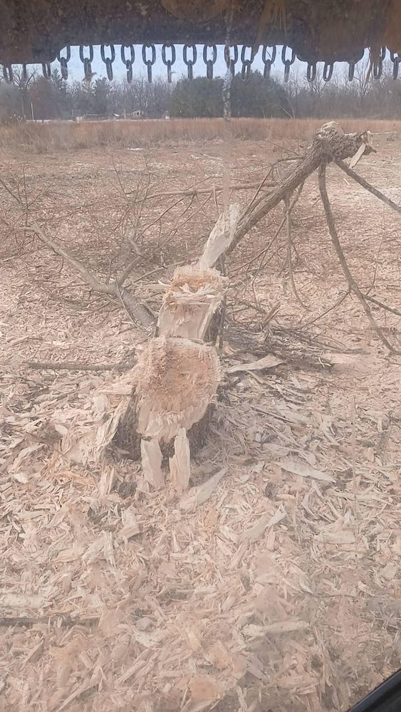 All Photos for Willing Trucking & Excavating in Evansville, WI