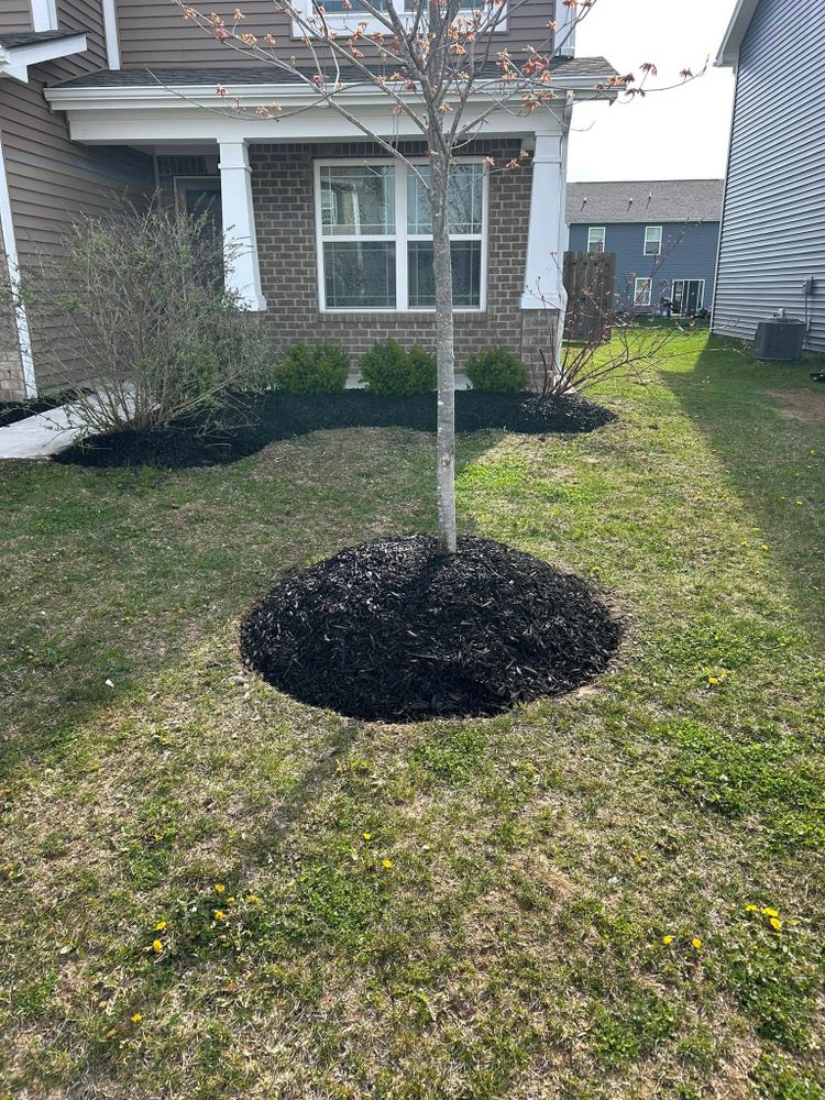 Enhance your garden's beauty and health with our professional mulch installation service, providing essential nutrients, weed control, and moisture retention for vibrant plants and a pristine outdoor space year-round. for Plenty Landscaping Solutions in Indianapolis, IN