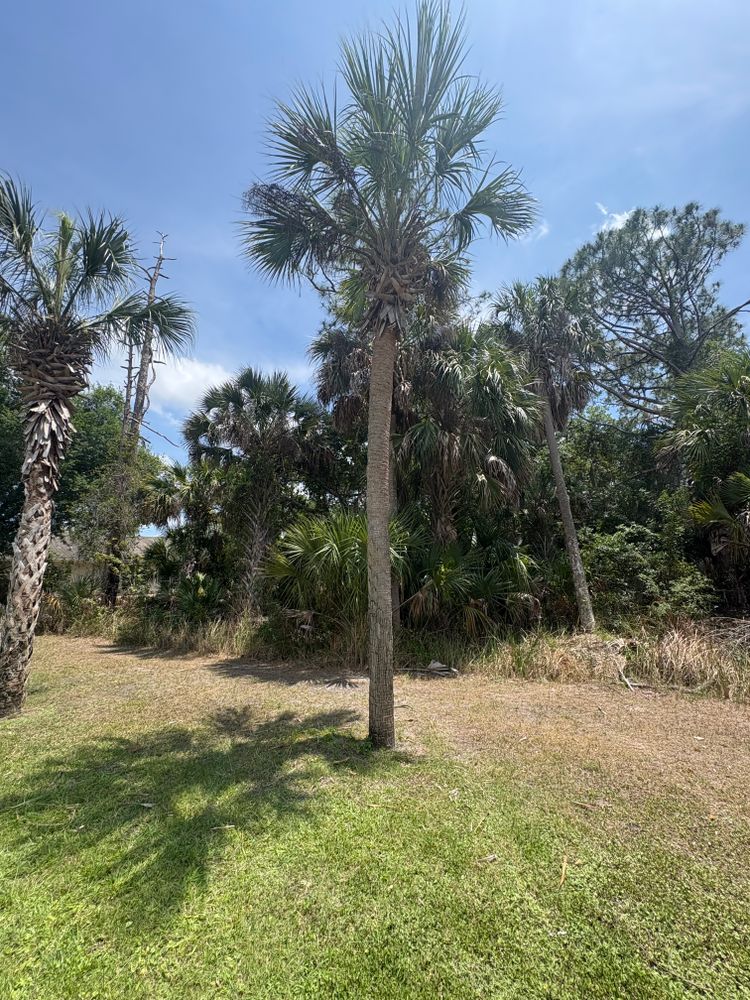 All Photos for R&R GreenWorks in North Port, FL