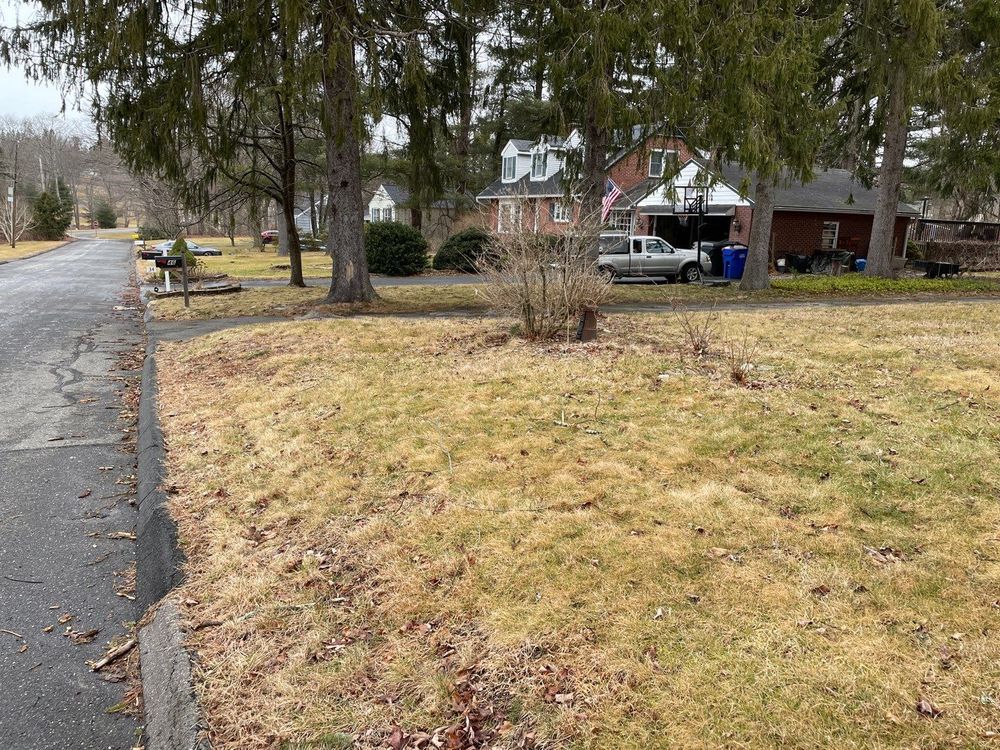 Lawn Care for CS Property Maintenance in Middlebury, CT