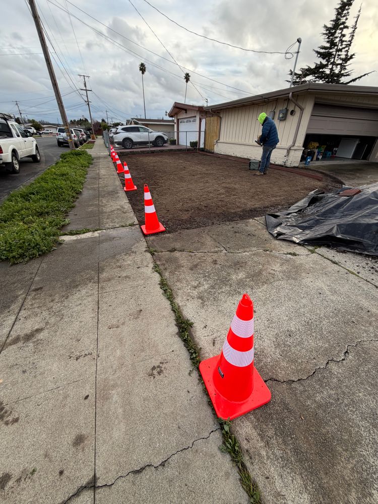 All Photos for CBA Landscaping in Hayward, CA