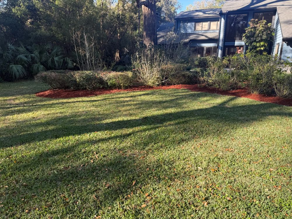 All Photos for Amerigrown Tree And Lawn in Apopka, FL