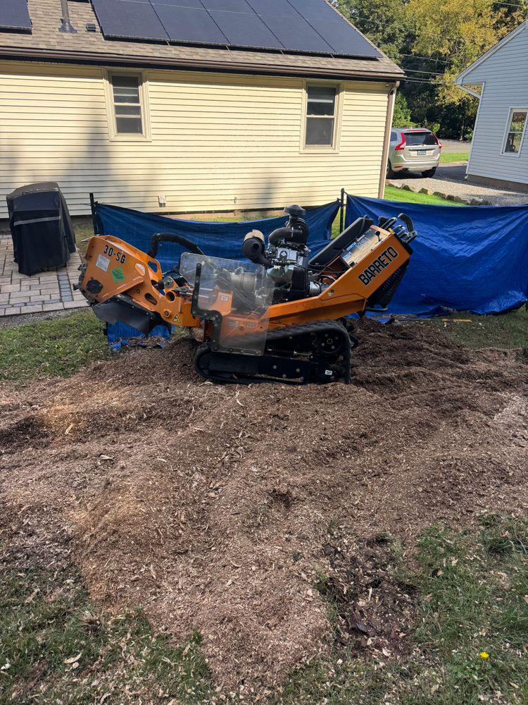 Stump Removal for Jills Stump Grinding and Firewood in Shelton, CT