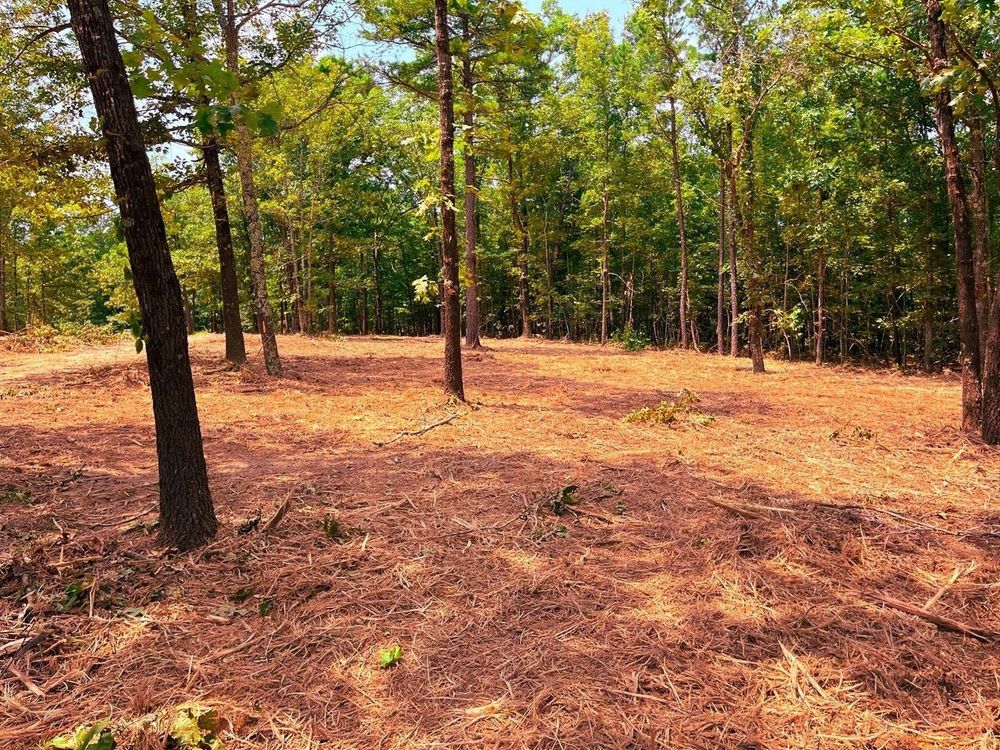 Our Forestry Mulching service efficiently clears overgrown land by converting trees and brush into mulch, promoting healthier regrowth, reducing fire hazards, and enhancing your property's overall aesthetics. for Troyer's Excavation in Monterey, TN