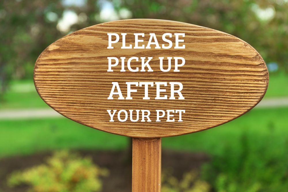 All Photos for River City Scoopers in Midlothian, VA