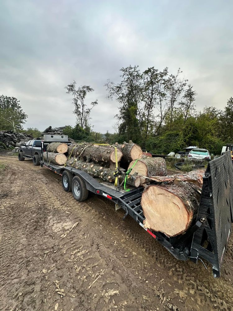 All Photos for Total Tree Service in Washington, NJ