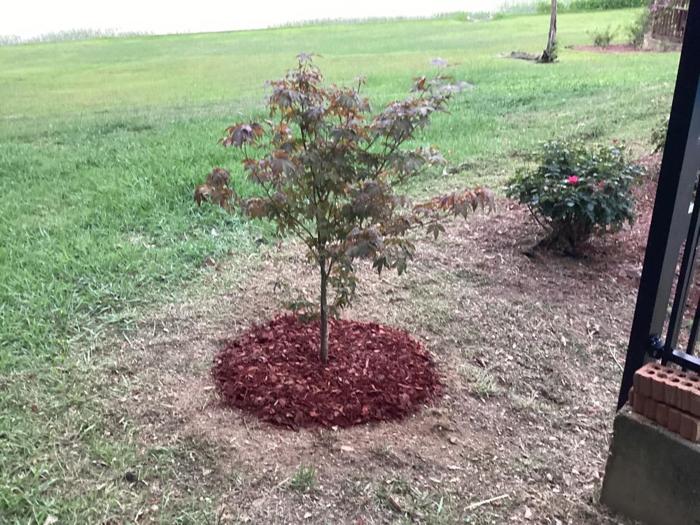 All Photos for Xtreme Landscaping & Lawn Care in Lincoln, AL