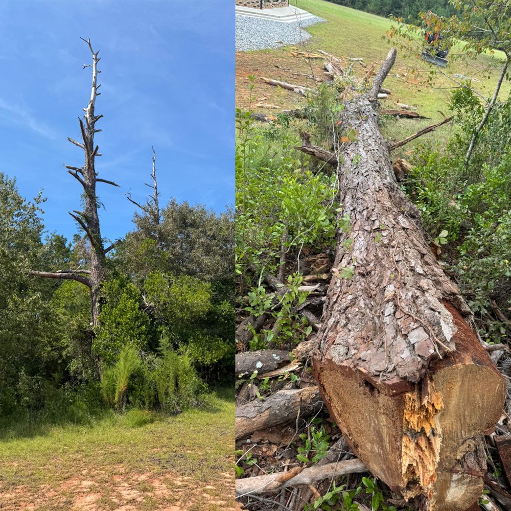 All Photos for Camalett Services in Perry, GA