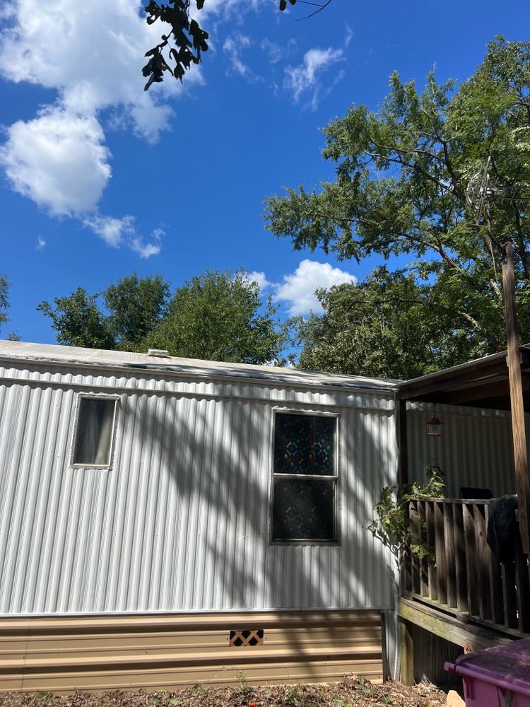 All Photos for Best Price Tree Service in Hallsville, TX