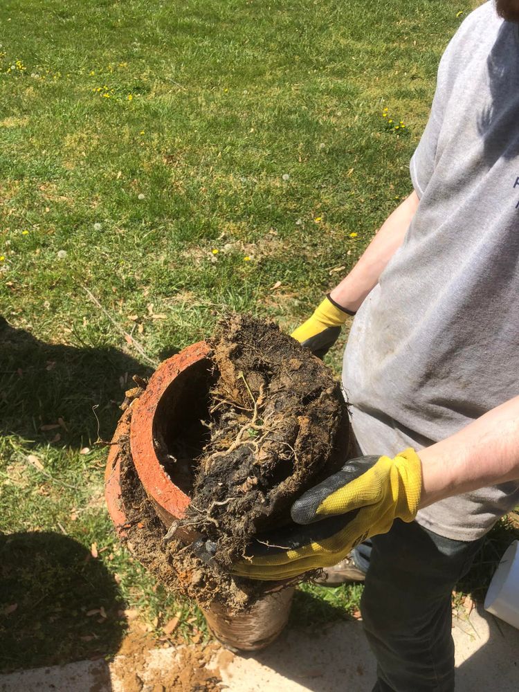 All Photos for Drain Pro Plus in Essex, MD