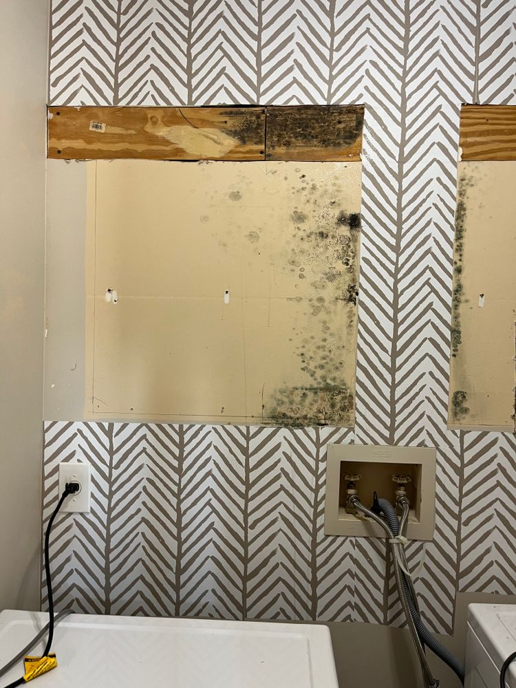 Water Damage Claims for Surplus Public Adjusters in Miami-Dade County, FL