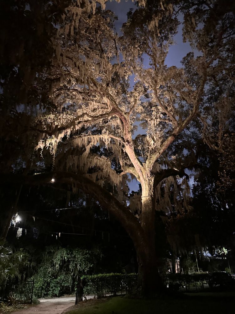 Residential Christmas Light Installation for Coastal Lighting in Ponte Vedra, FL