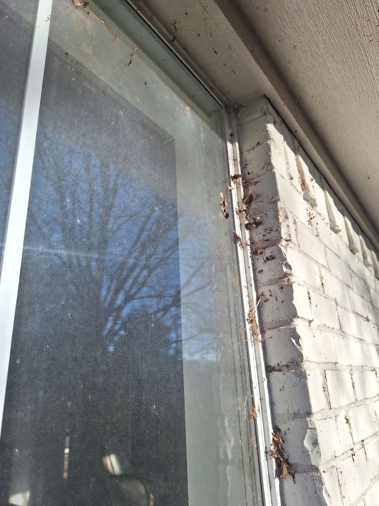 All Photos for Connected Exterior Cleaning in Dallas, TX