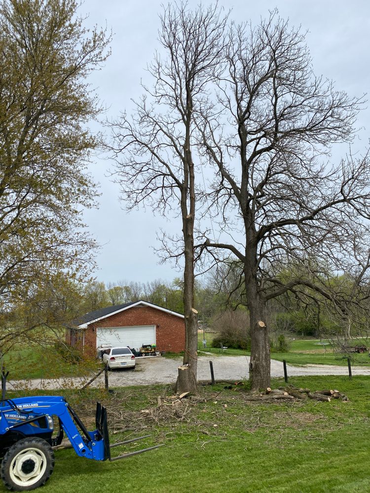 All Photos for Houtz Tree Service in Lexington, KY