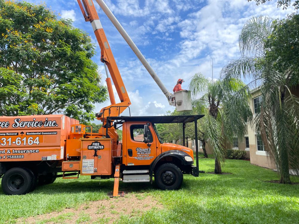 All Photos for Sam's Tree Service in Miami Beach,  FL