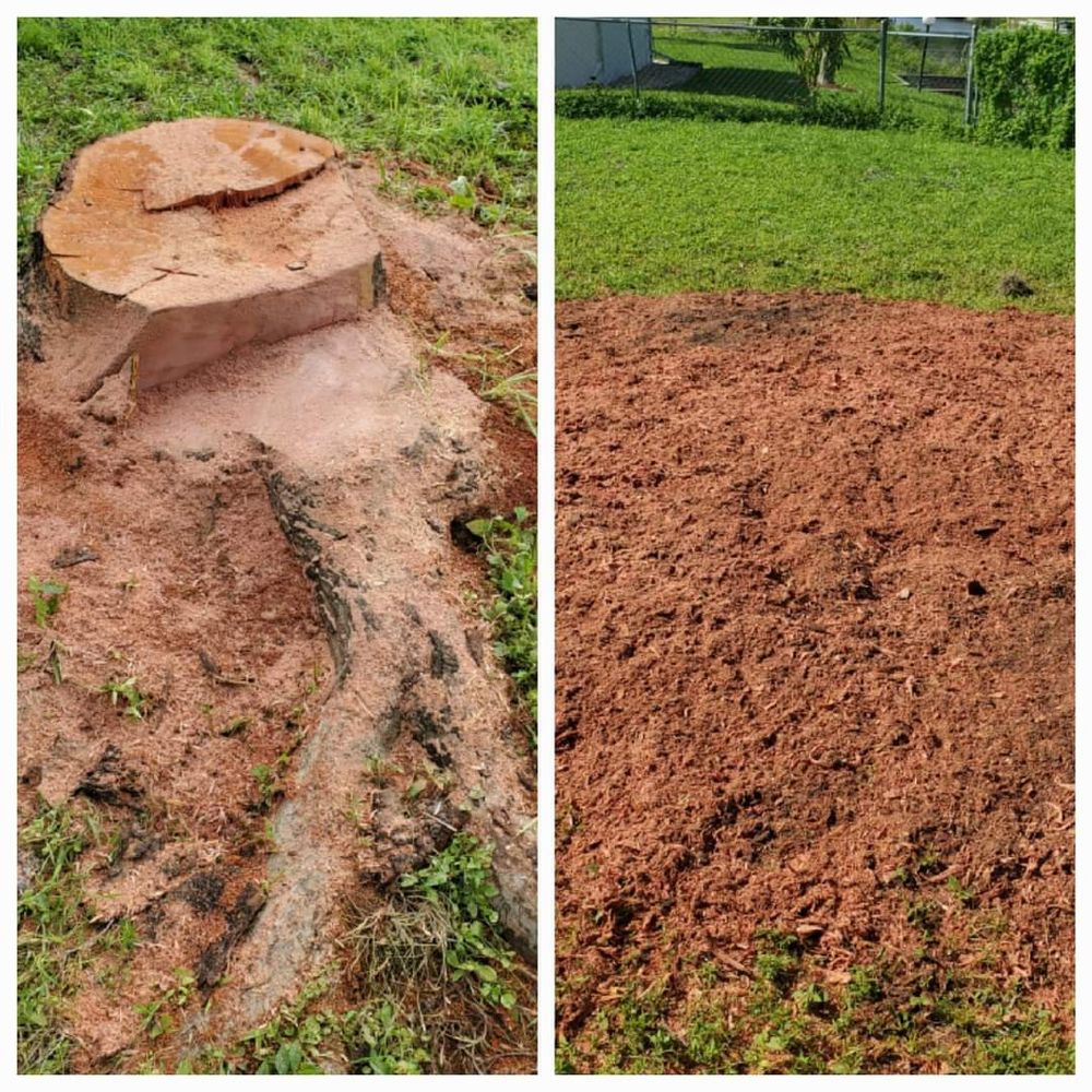 Our stump grinding service helps homeowners by efficiently removing unwanted stumps from their property, ensuring a more visually appealing and safer outdoor space. for Advanced Landscaping Solutions LLC in Fort Myers, FL
