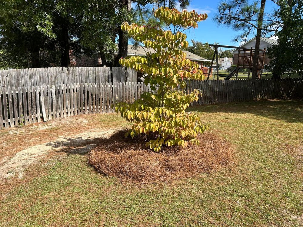 All Photos for Cutting Edge Lawn Care in Fayetteville, NC