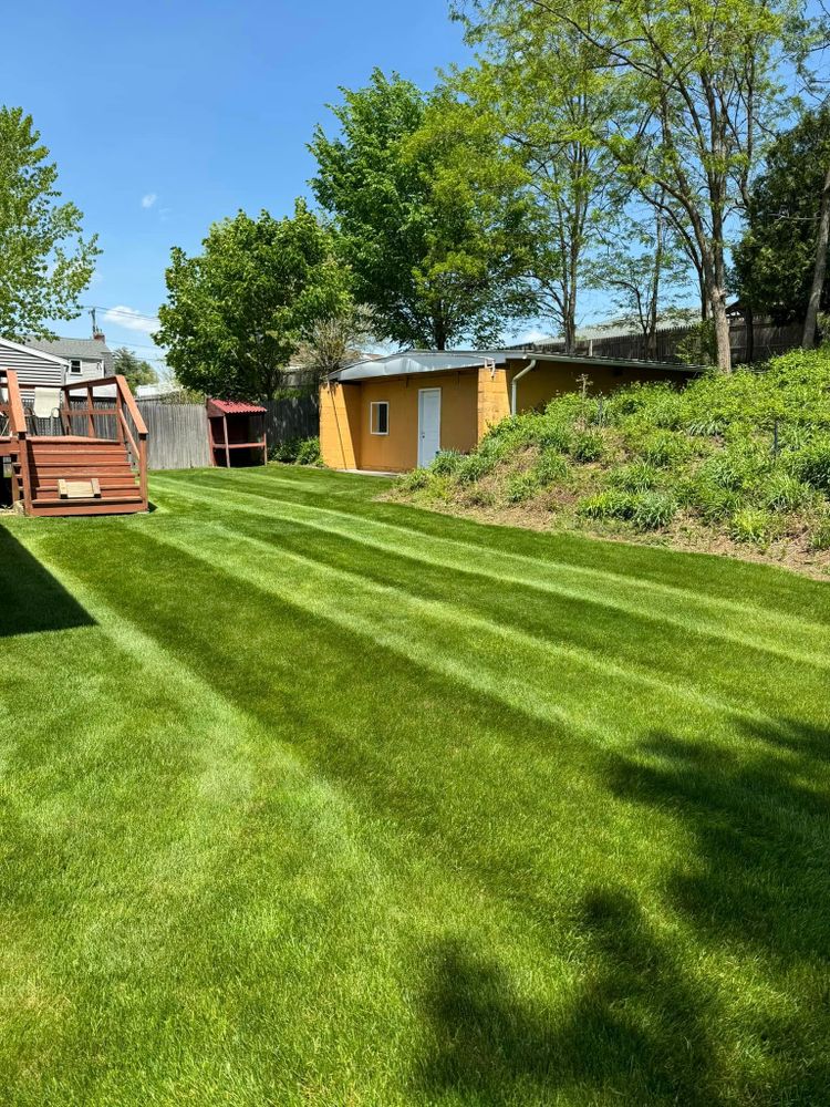 All Photos for Adams Landscaping in Springfield, MA