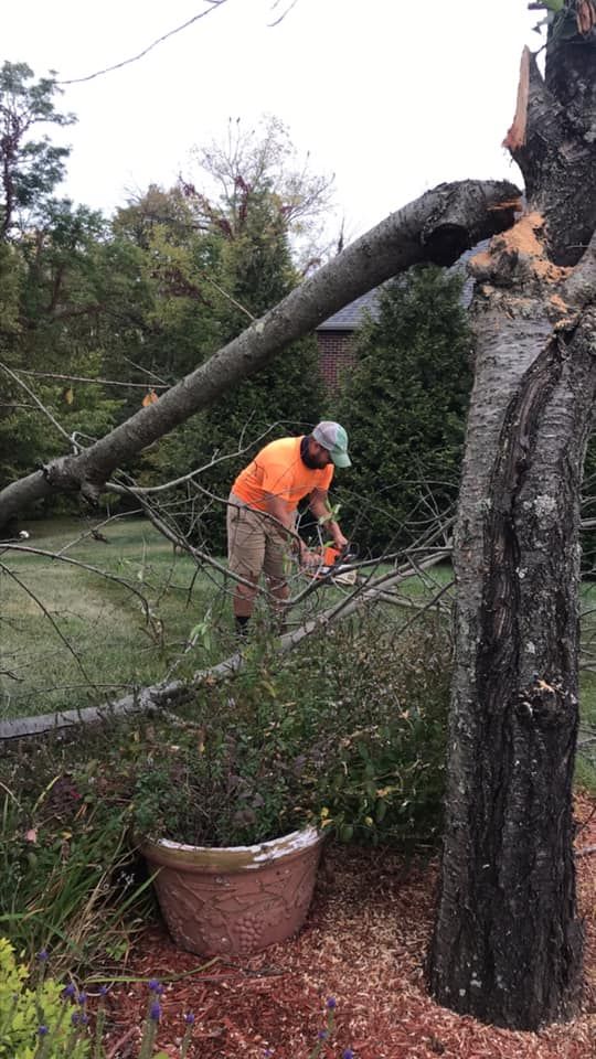 Our Fall Clean Up service ensures your yard is ready for the changing season by removing leaves, debris, and preparing plants for winter. Trust us to keep your landscape pristine year-round. for My Lawn Solutions LLC in Milford, OH