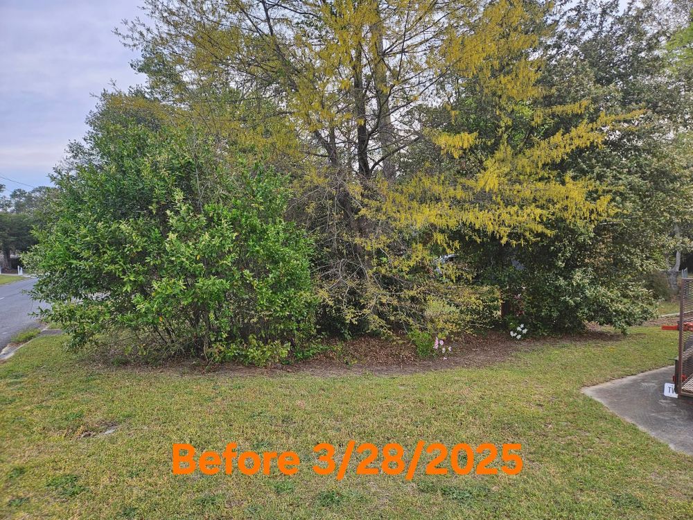 All Photos for Yard Recovery Services in Byron, GA