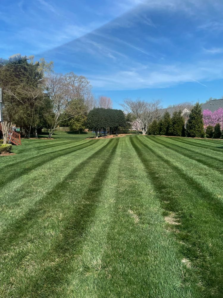 Lawn Care for DLS Landscaping in Charlotte, NC