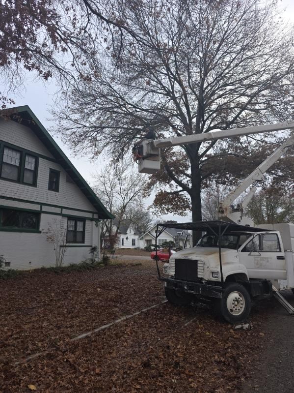 All Photos for Oklahoma Tree Guy in Bartlesville, OK