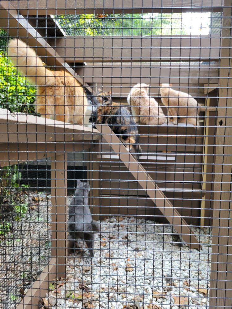 All Photos for GVL Renovations in Greenville, SC