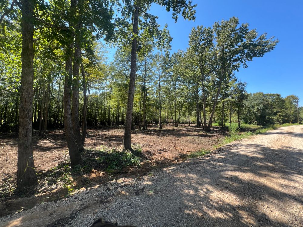 All Photos for Best Price Tree Service in Hallsville, TX