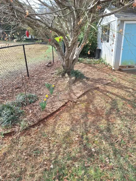 All Photos for Olmedo Home Services in Davie County, NC