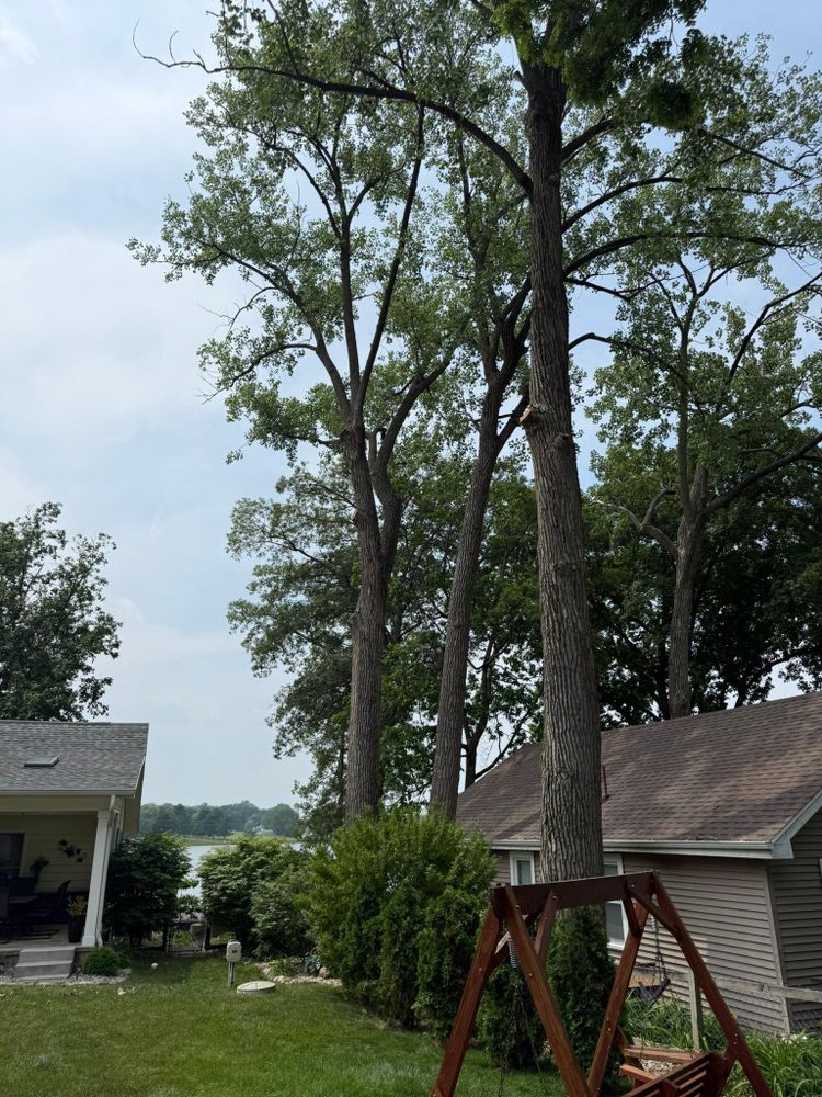 All Photos for Hunnicutt’s Tree Service L.L.C. in Monticello, IN