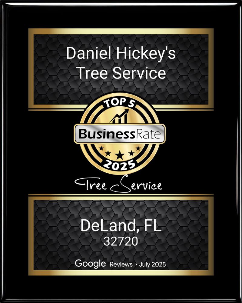 All Photos for Daniel Hickey’s Tree Service in DeLand, FL