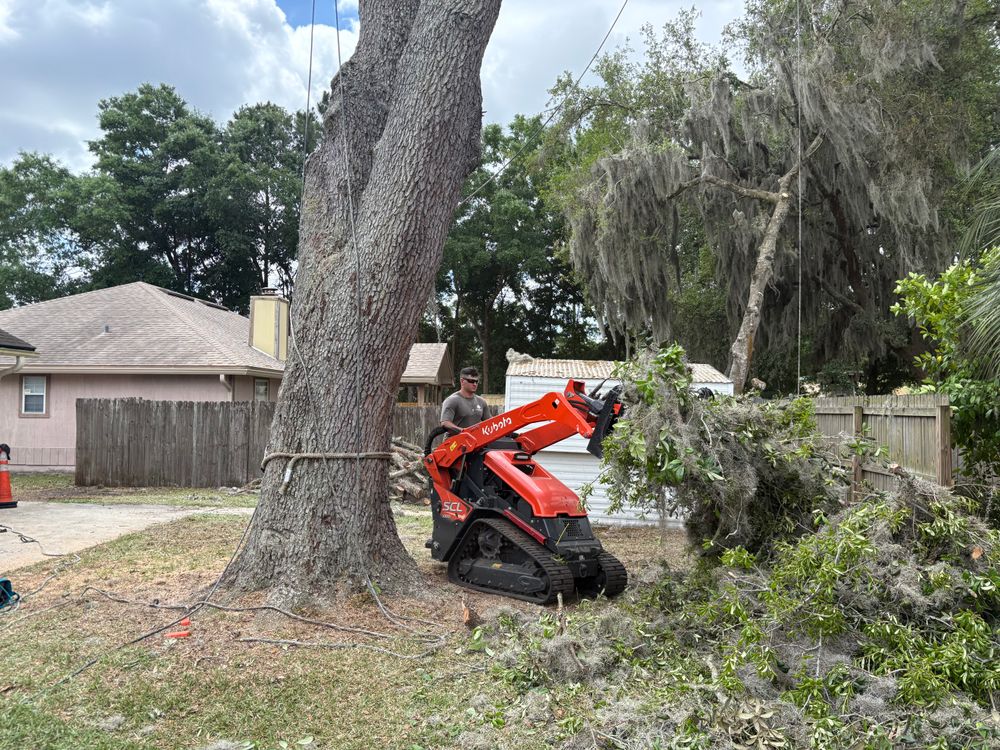 All Photos for Top Notch Tree Experts in Orange Park, FL